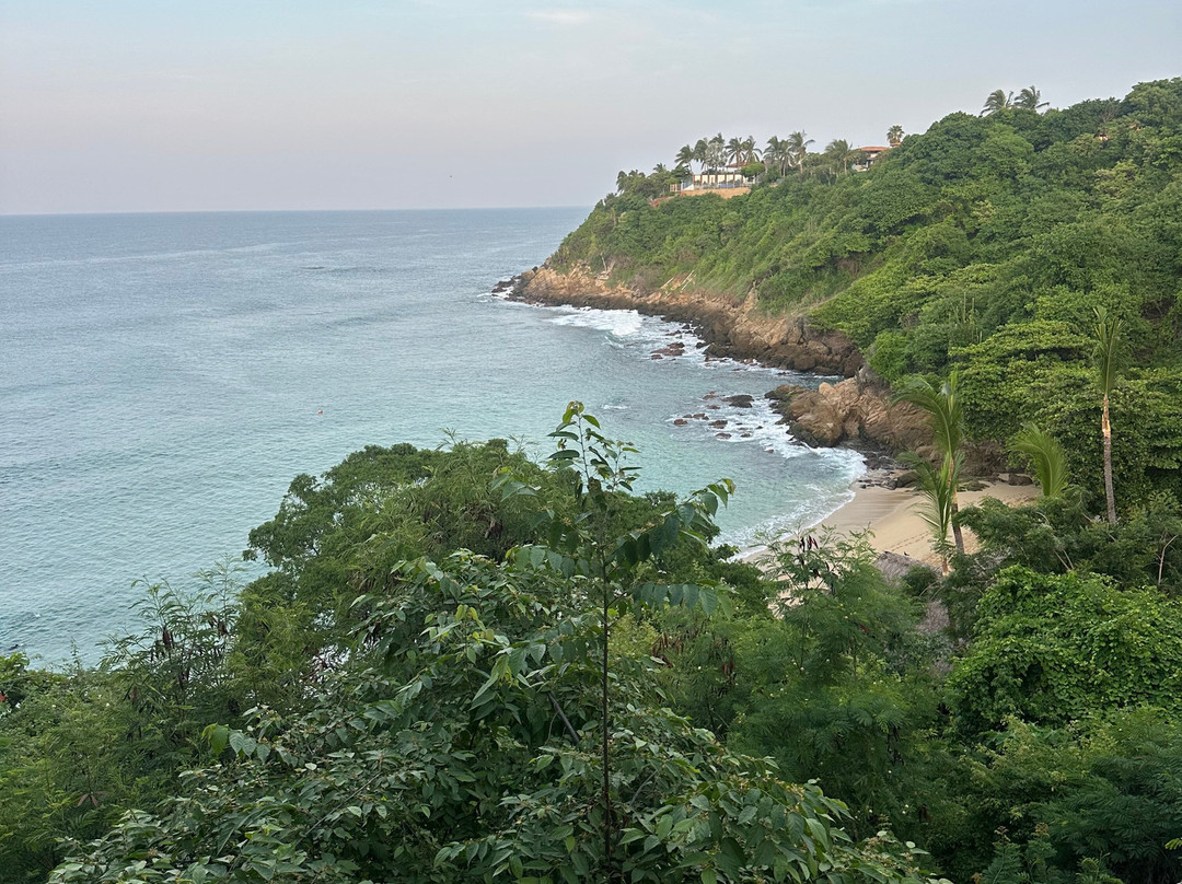 Playa Carrizalillo-埃斯孔迪多港必去景点