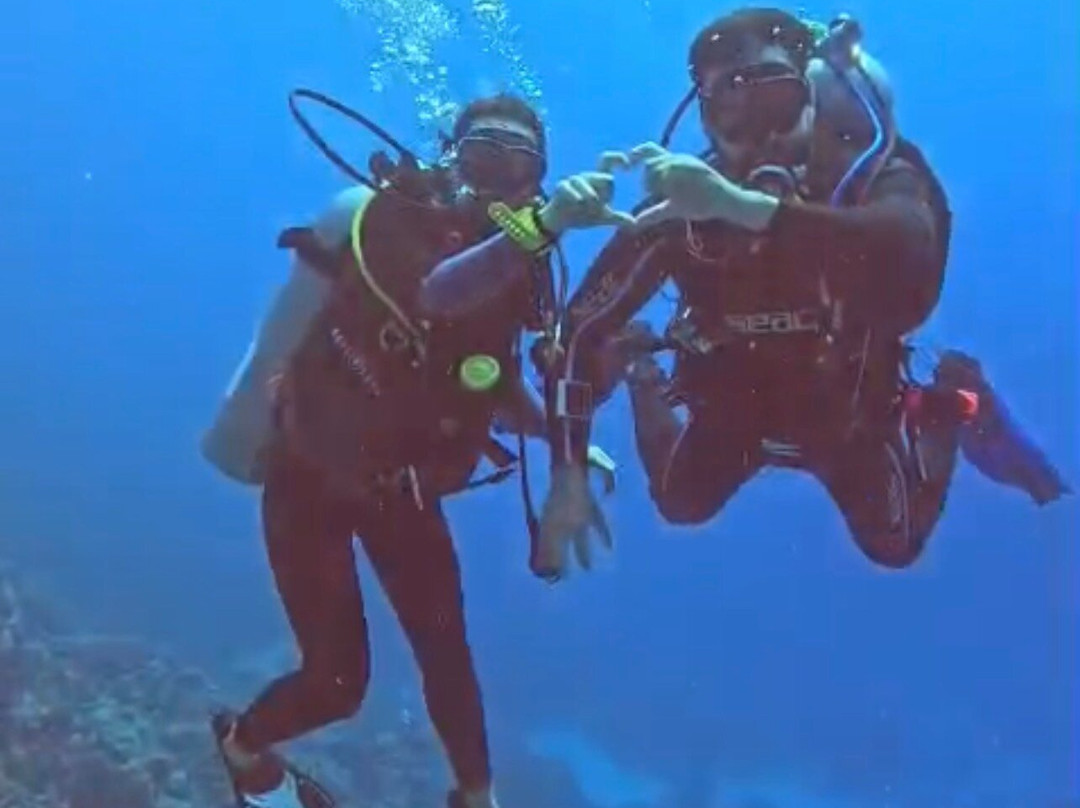 ORCA Dive Club Soma Bay-索马湾必去景点