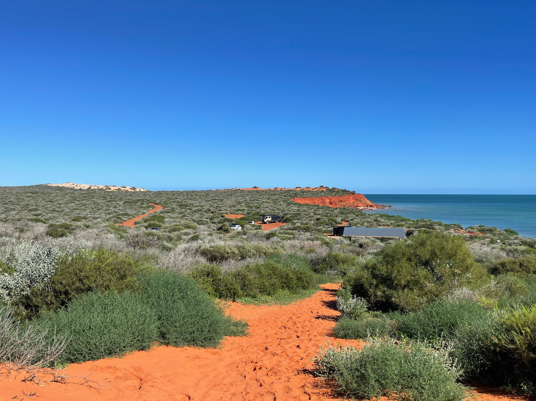 Shark Bay Coastal Tours-德纳姆必去景点
