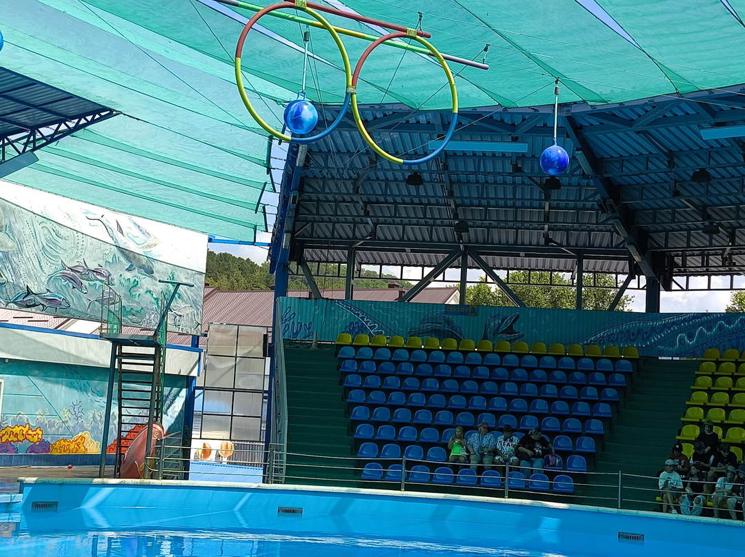 Aqua-Mir Dolphinarium-Nebug必去景点