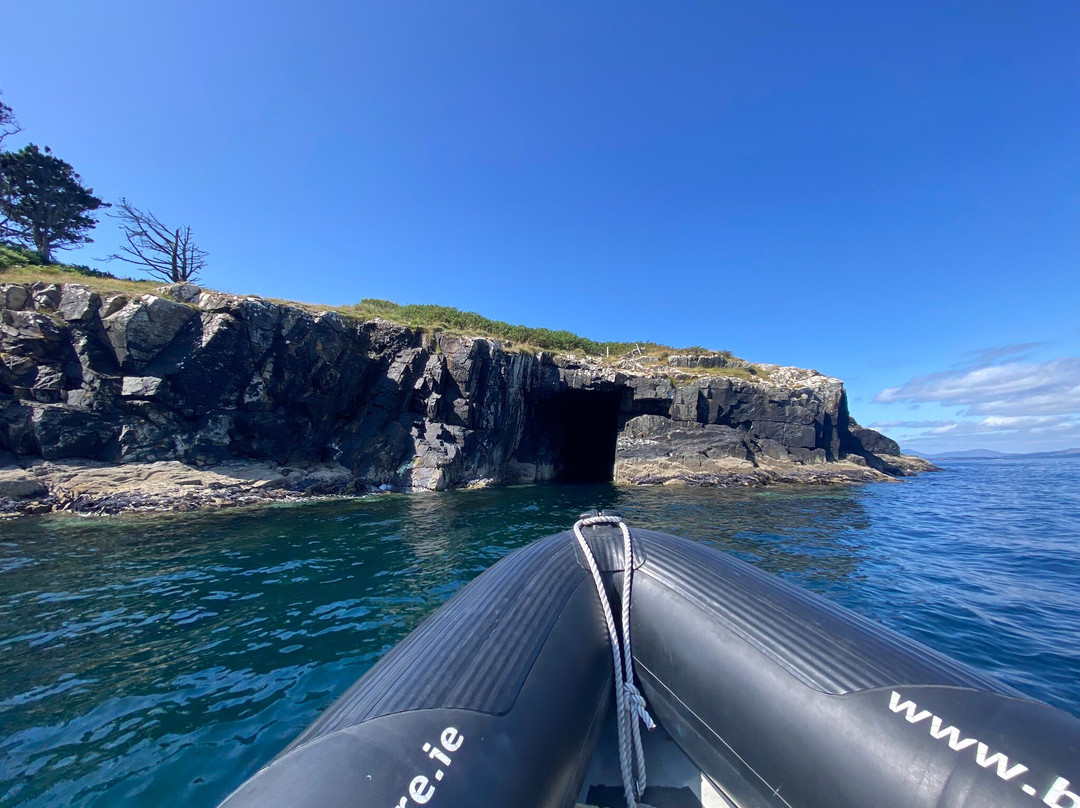 Bantry Sea Safari & Rentals-Bantry必去景点