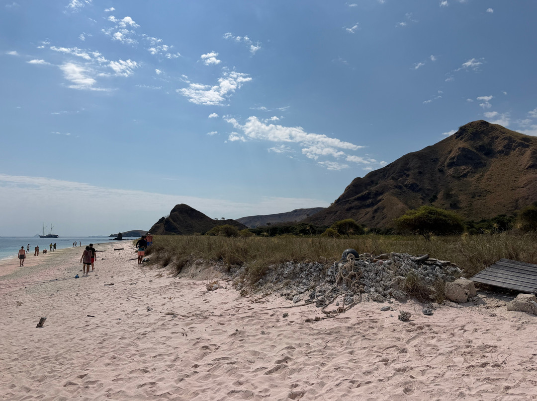 Pink Beach-科莫多必去景点