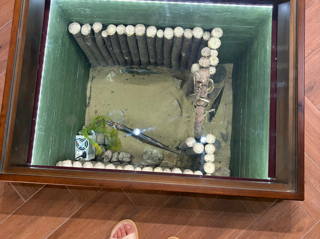 Archaeology Museum-Cherepovets必去景点