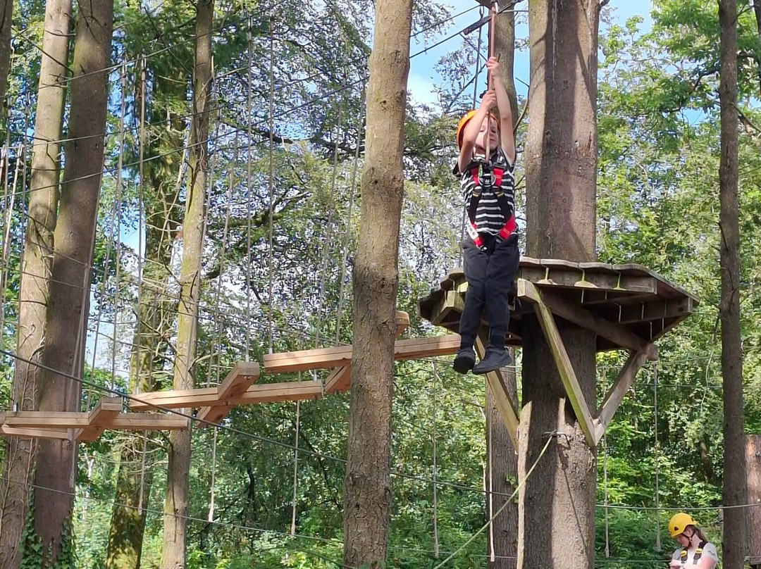 The Tunnel Tree Tops High Ropes-Charmouth必去景点