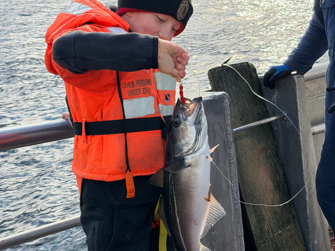 REEL Fishing And RIB Safaries-雷讷必去景点