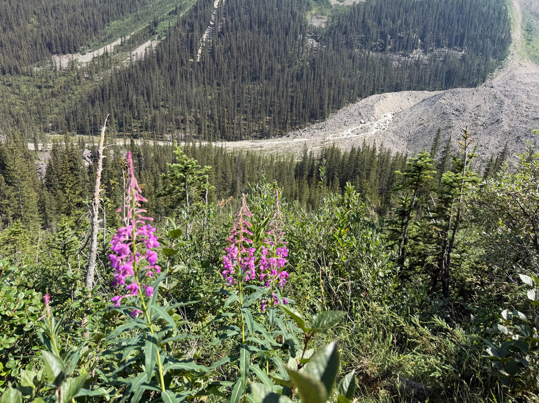 Plain of Six Glaciers-路易斯湖必去景点