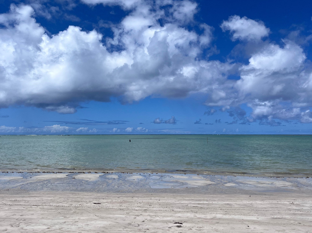 Antunes Beach-Maragogi必去景点