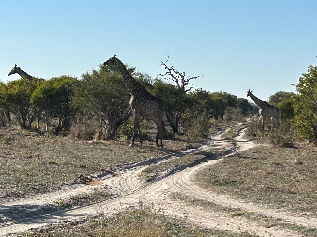 Hideaways Mankwe Tented Retreat, Greater Moremi主图