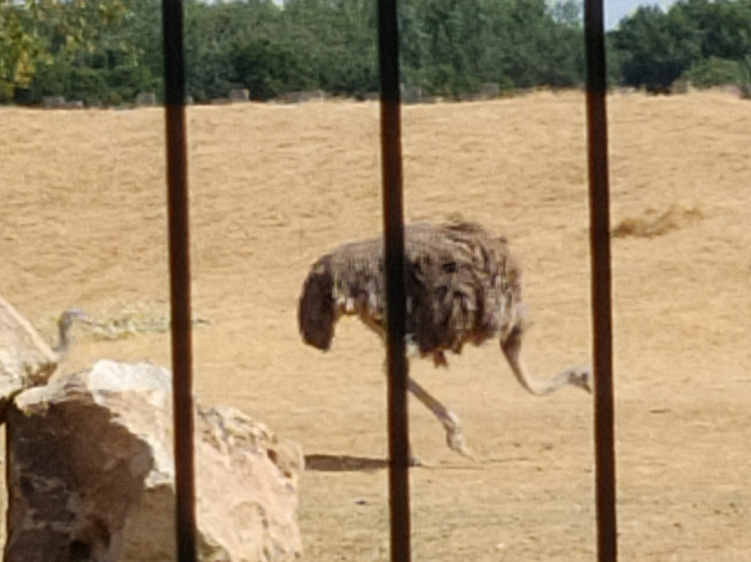 La Tanière - Zoo Refuge-Nogent-le-Phaye必去景点