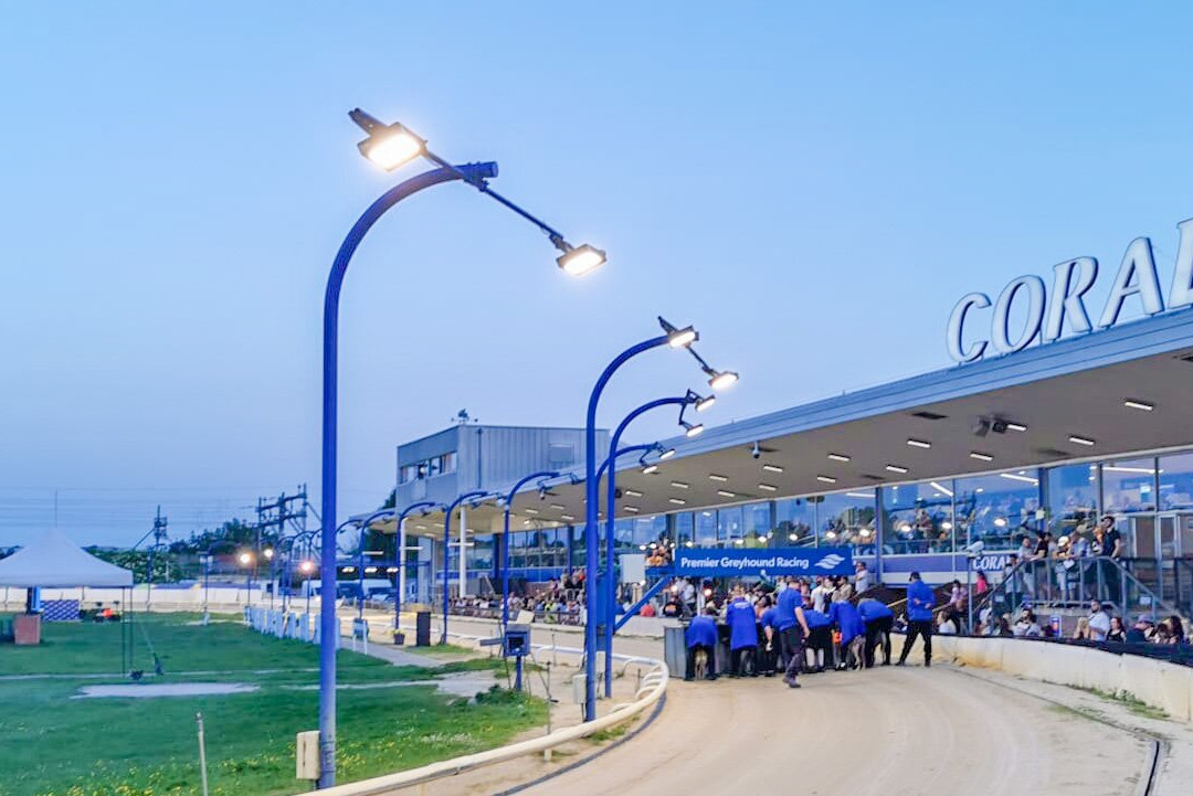 Romford Greyhound Stadium-Romford必去景点