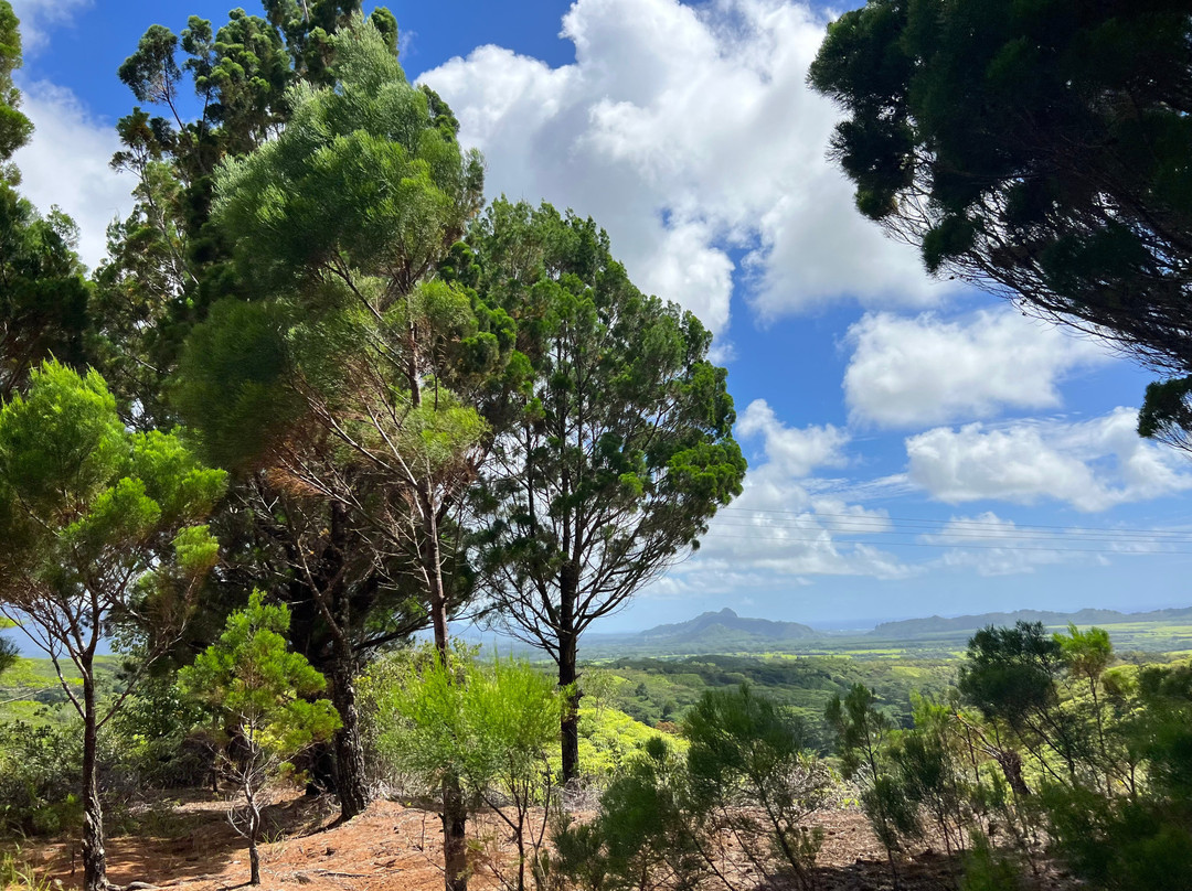 Kilohana Plantation-利胡埃必去景点