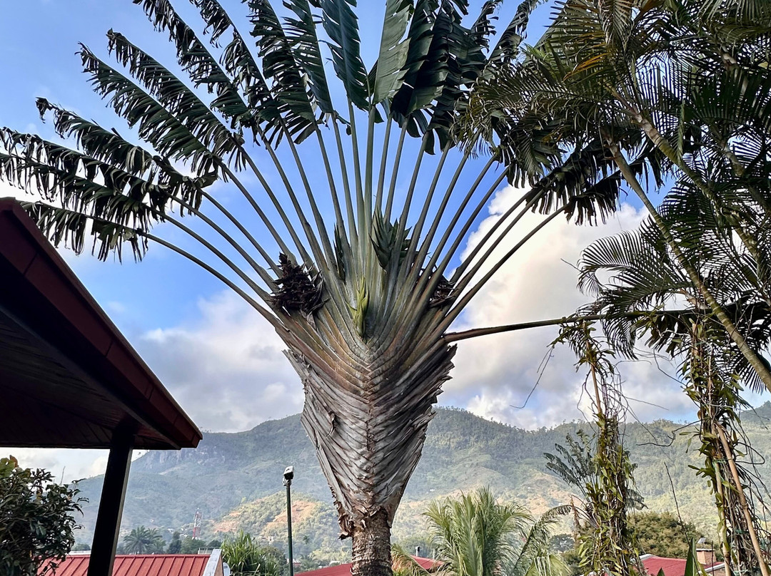 Zamilane-Toamasina (Tamatave)必去景点
