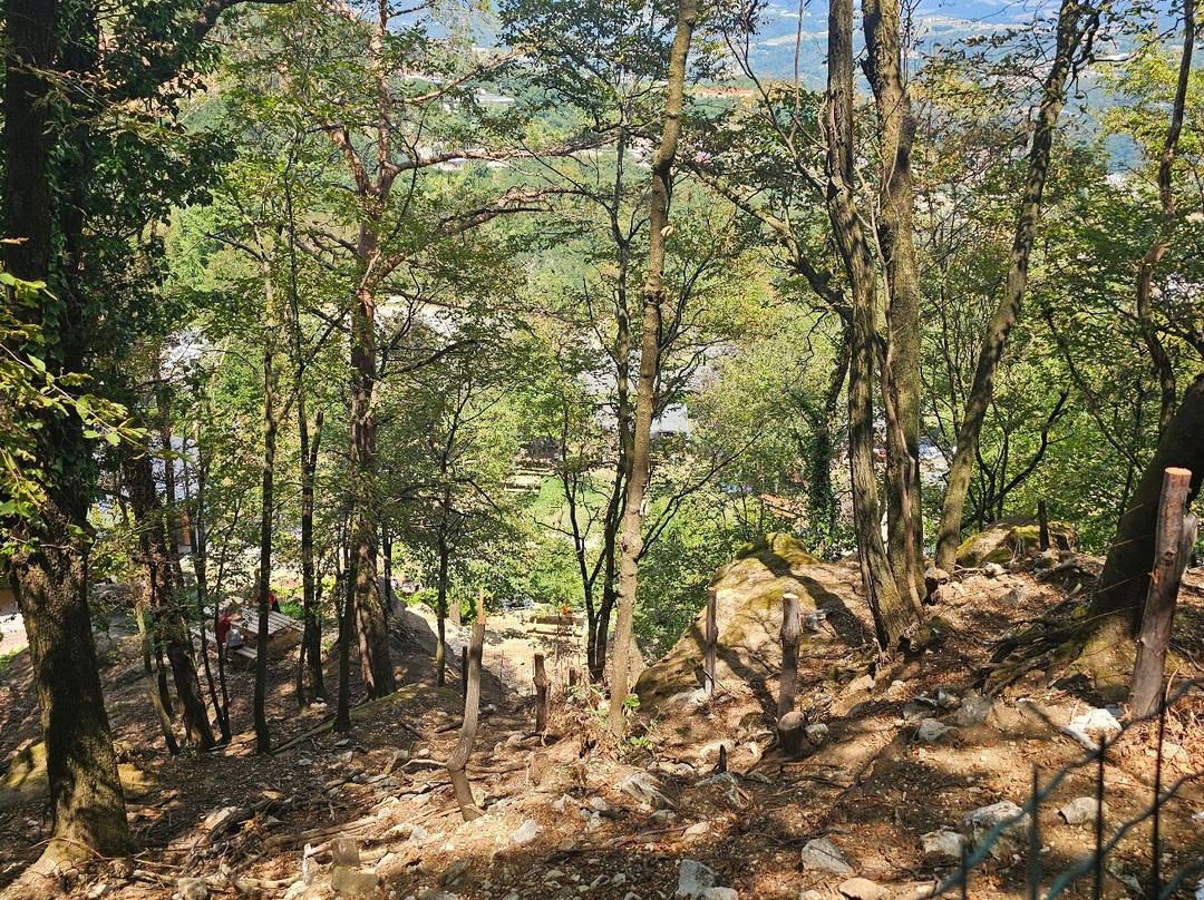 Bosco Allegro-Sant'Anna di Alfaedo必去景点