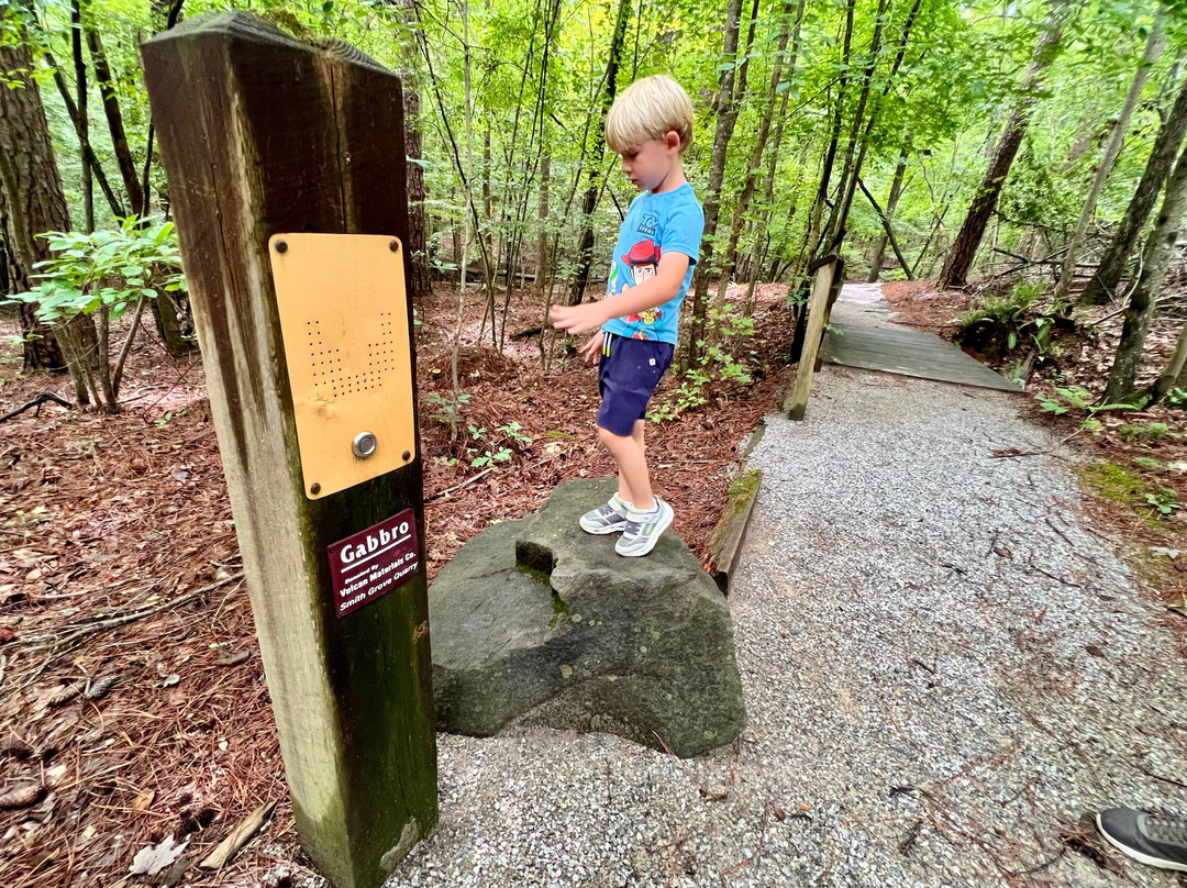 Clemmons Educational State Forest-Clayton必去景点
