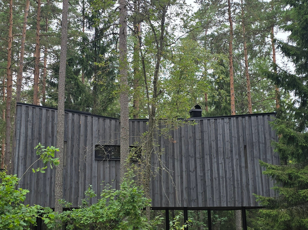 Trakt Forest Hotel主图