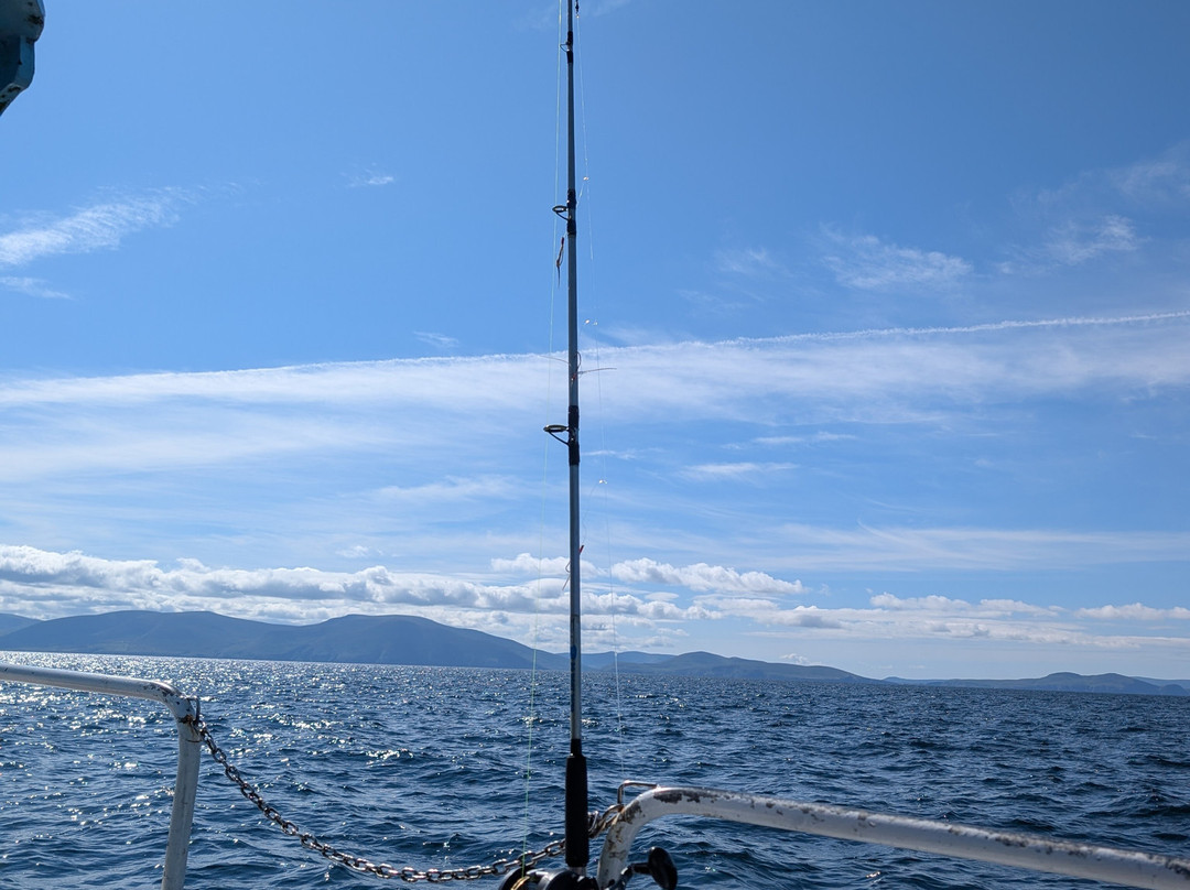 West Kerry Sea Angling and Eco Tours-丁格尔必去景点