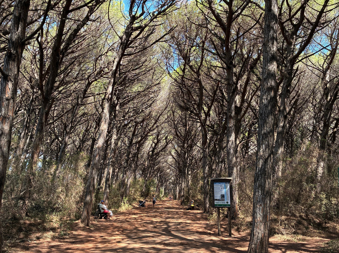 Riserva Naturale Tombolo di Cecina-Marina di Cecina必去景点