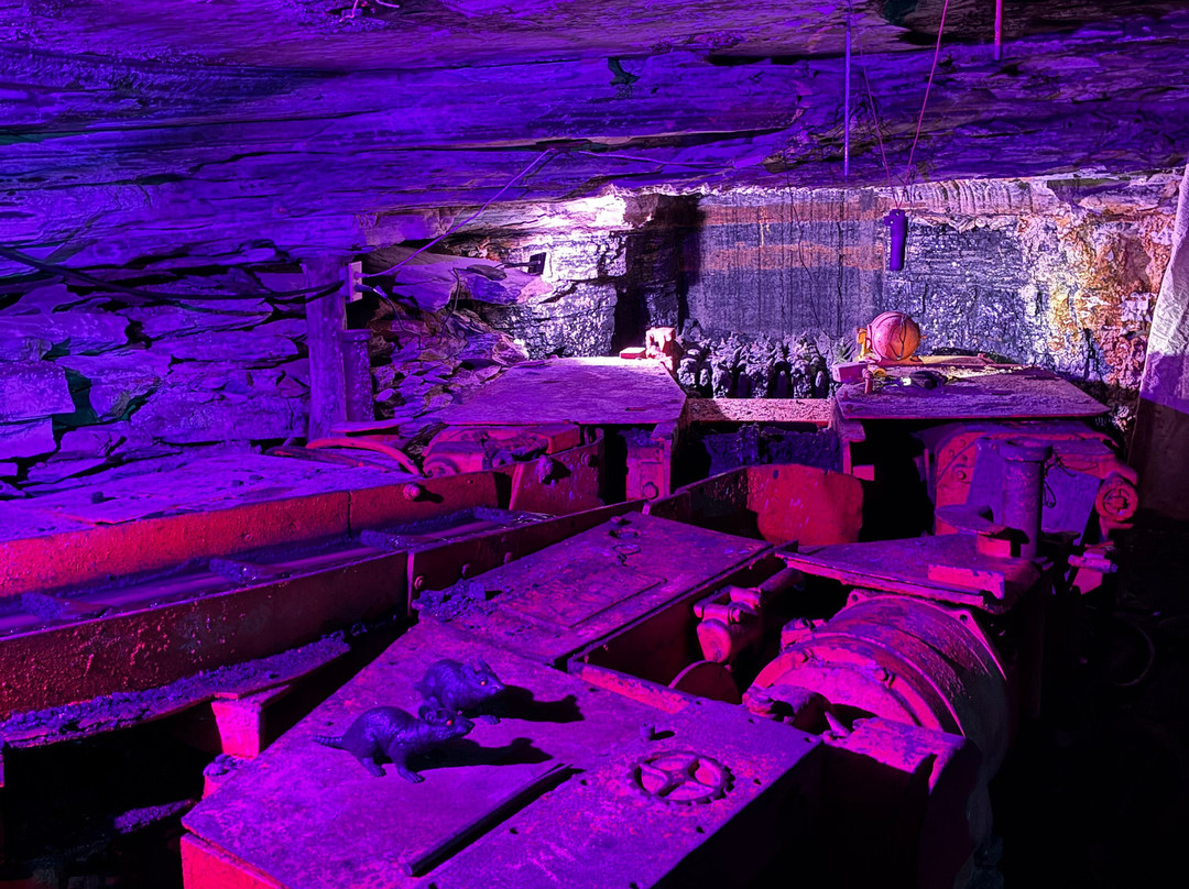 Tour-Ed Coal Mine-Tarentum必去景点