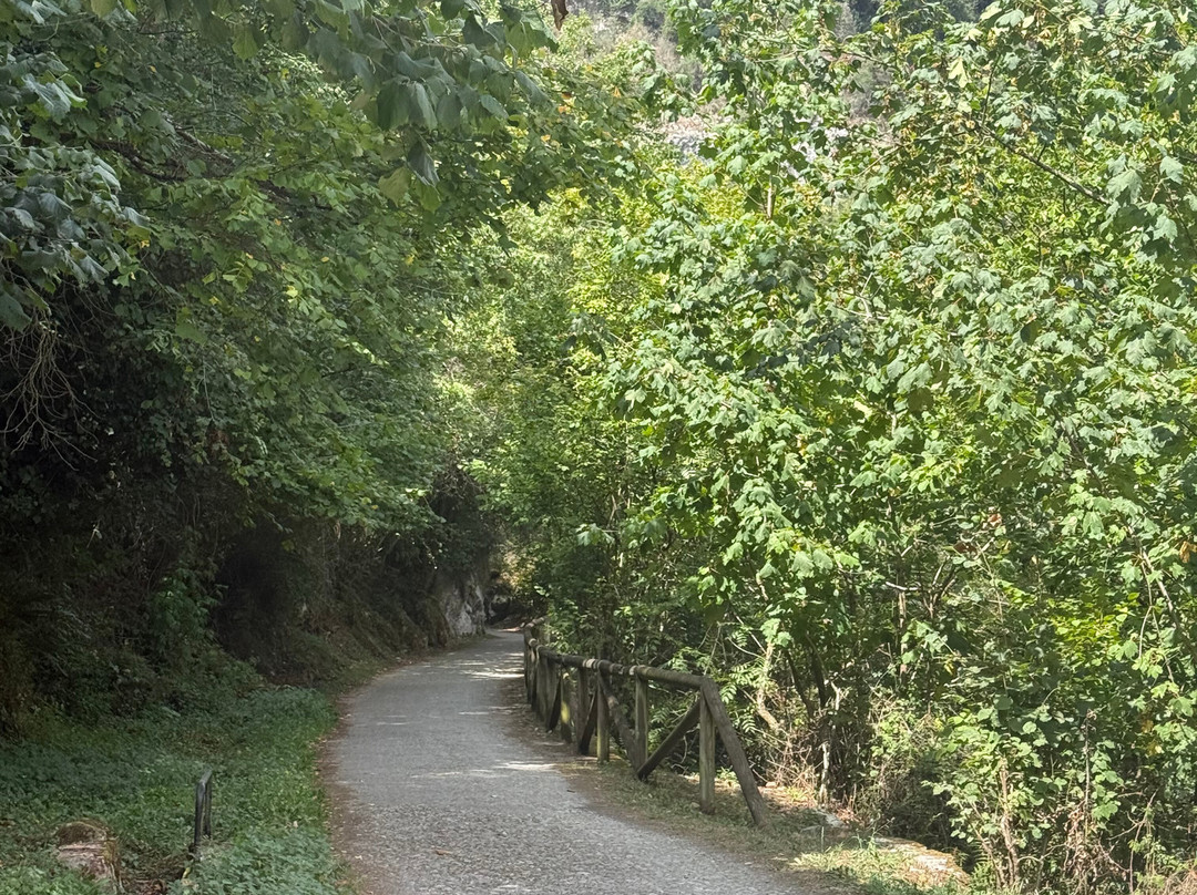 Senda Del Oso Experience - Teverastur-Teverga Municipality必去景点