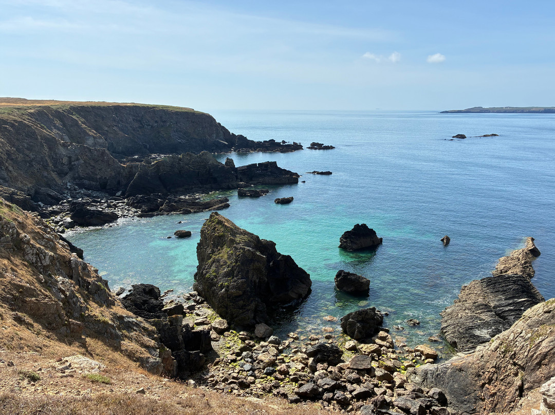 Pembrokeshire Islands Boat Trips-Skomer Island必去景点