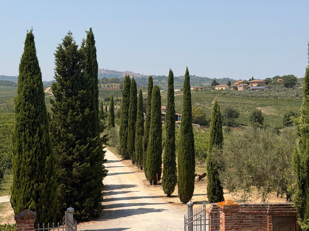 Tenuta Golo - Luxury Vineyard Suites in Montepulciano主图