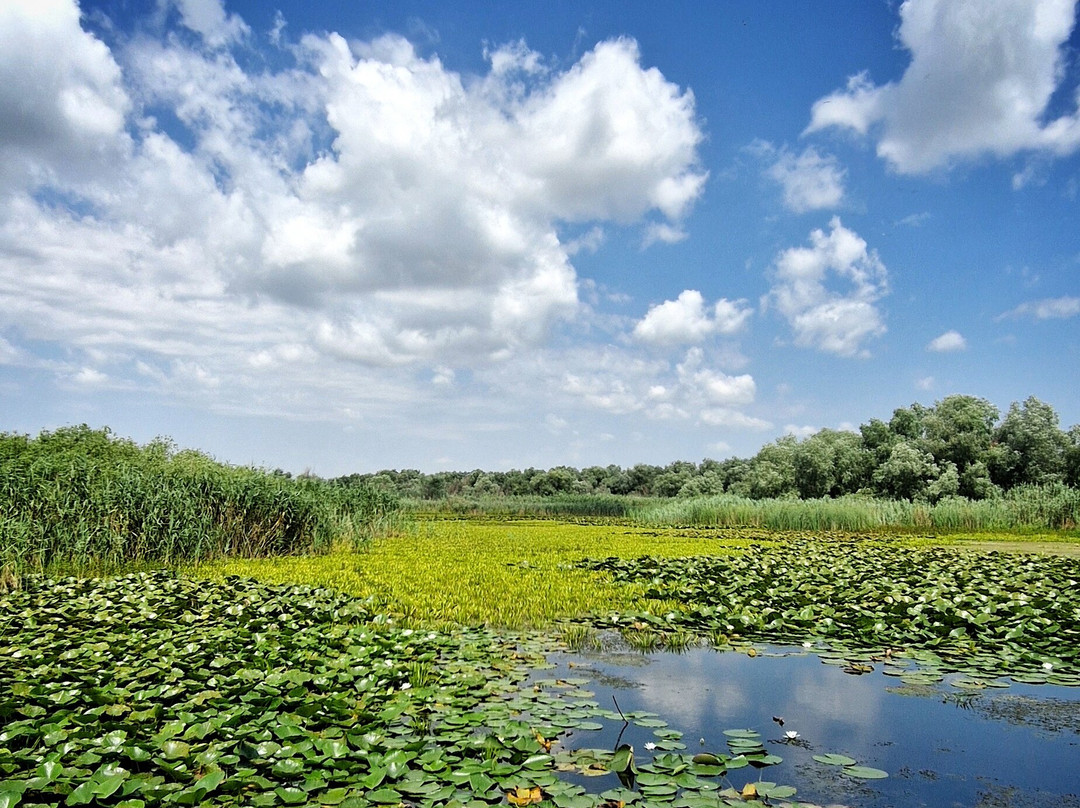 Tours in Delta with John-Crisan必去景点