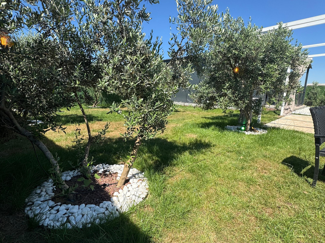 ON2 Bungalov Villas