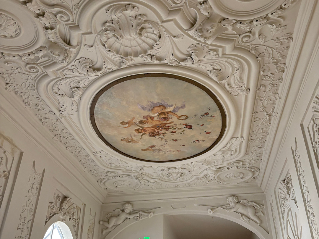 Teylers Museum-哈勒姆必去景点
