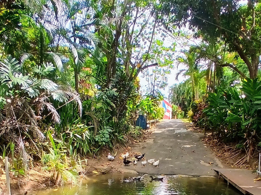 La Paseadora del Río Espíritu Santo-Rio Grande必去景点