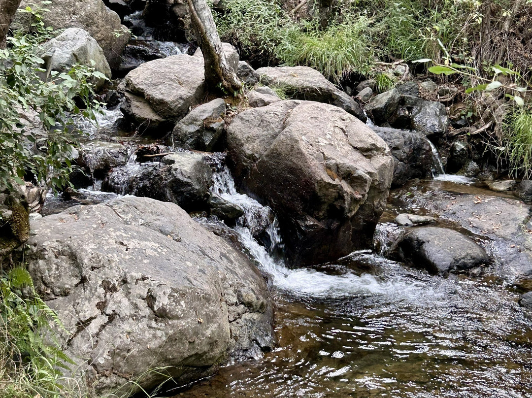 Caledonia Waterfall-帕拉翠斯必去景点