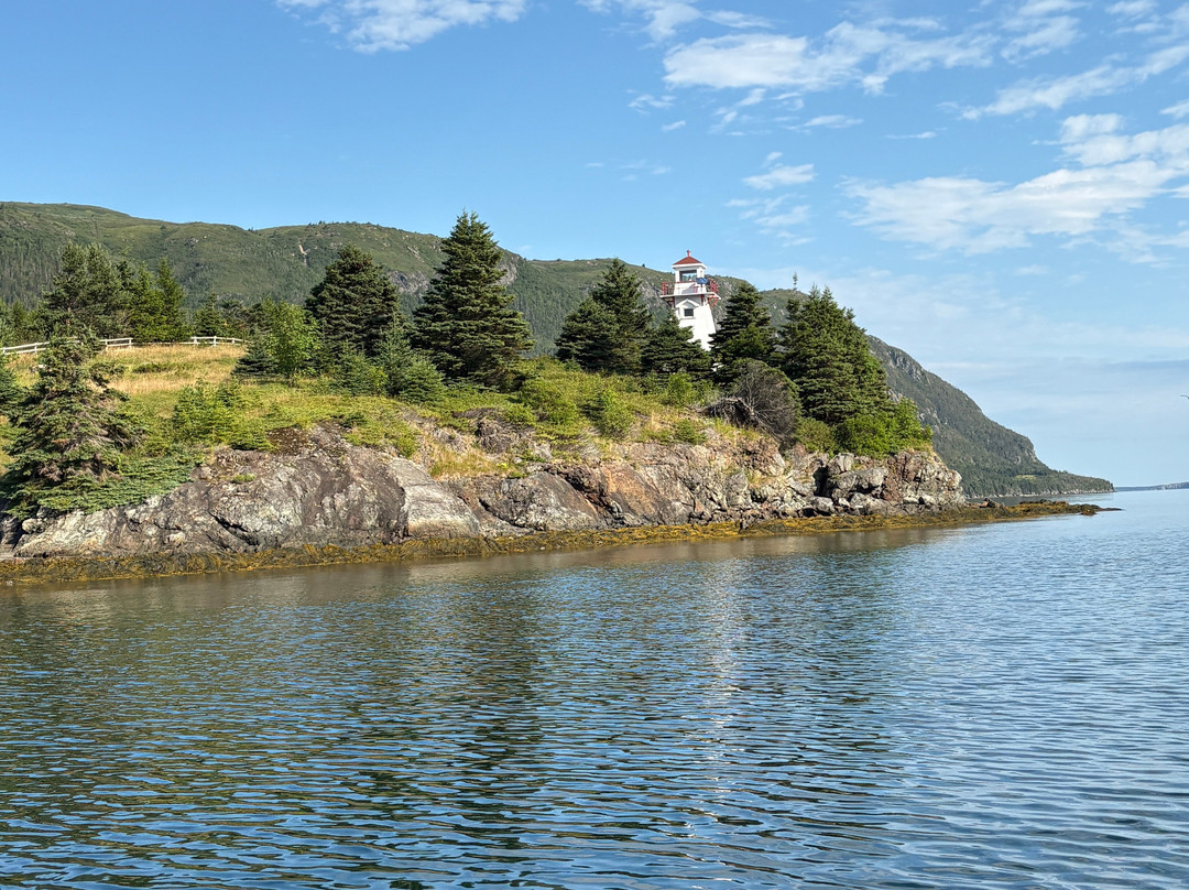 Wild Gros Morne-Trout River必去景点
