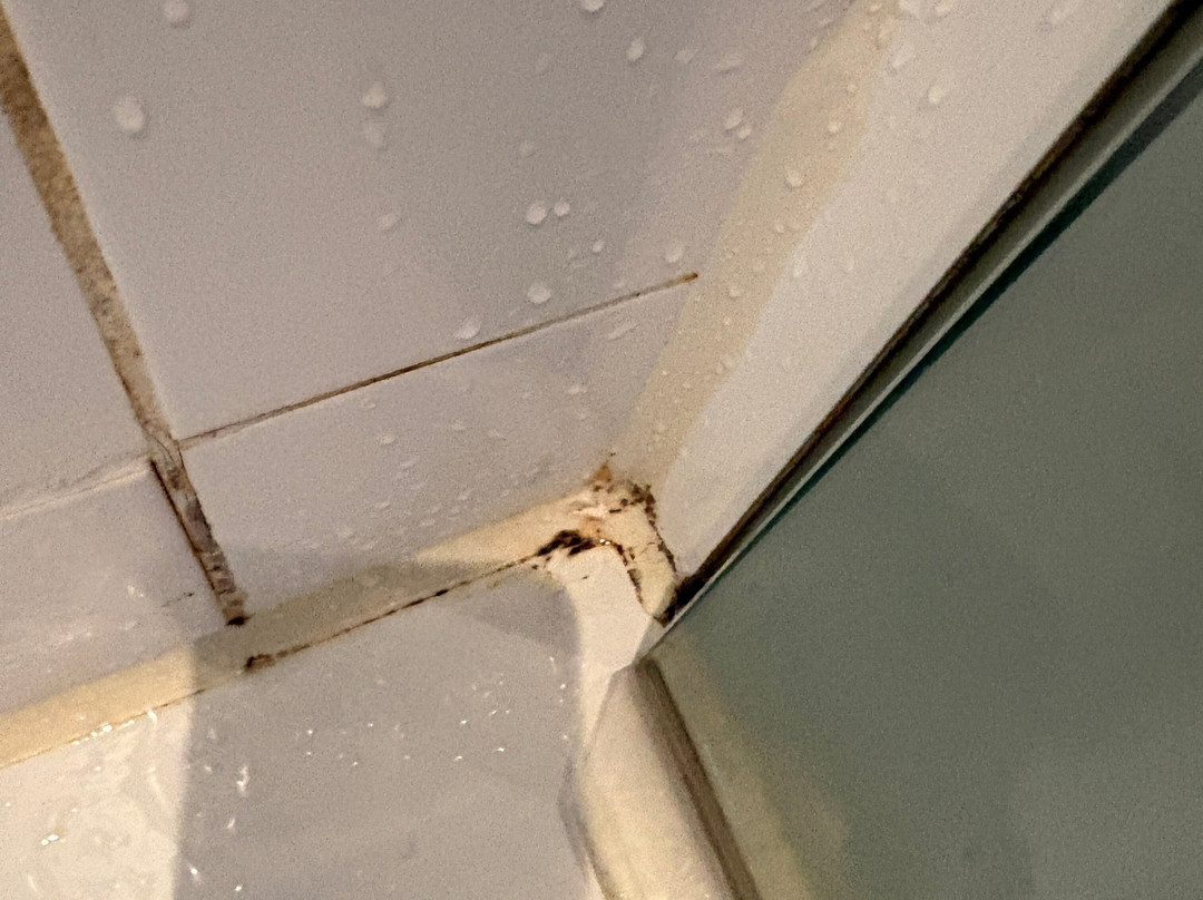 不来梅怡思得酒店主图