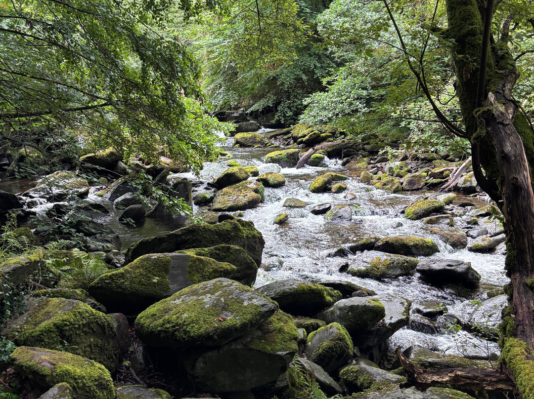 Watersmeet Trail-林茅斯必去景点