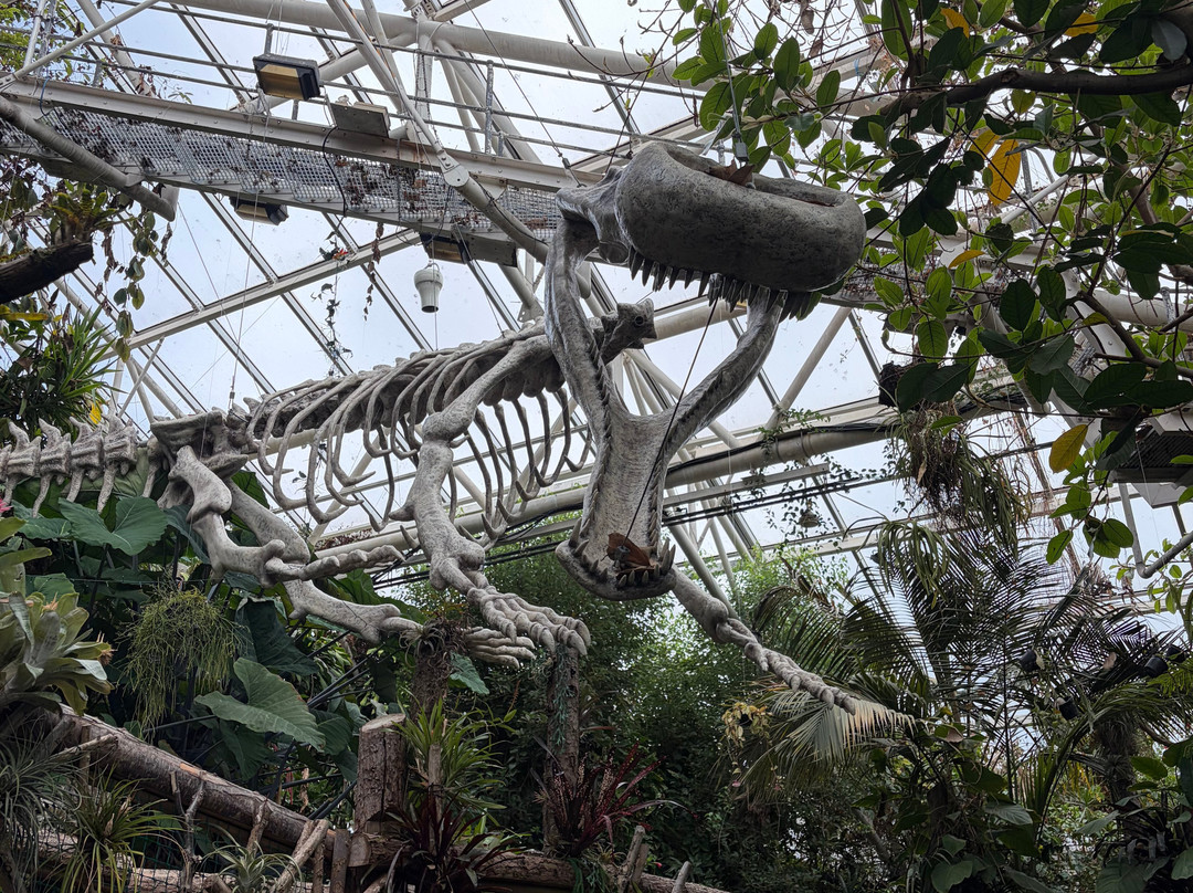 Plantasia Tropical Zoo-斯温西必去景点