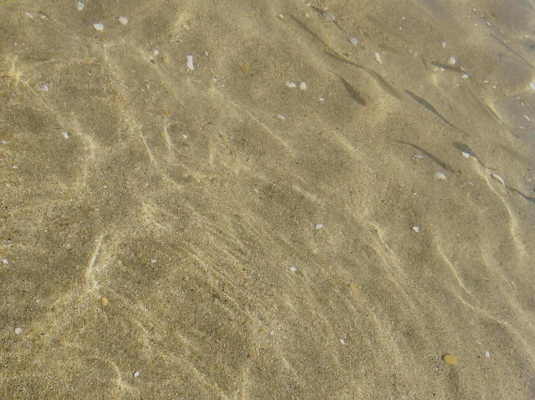 Lido del Sole-Chieuti必去景点