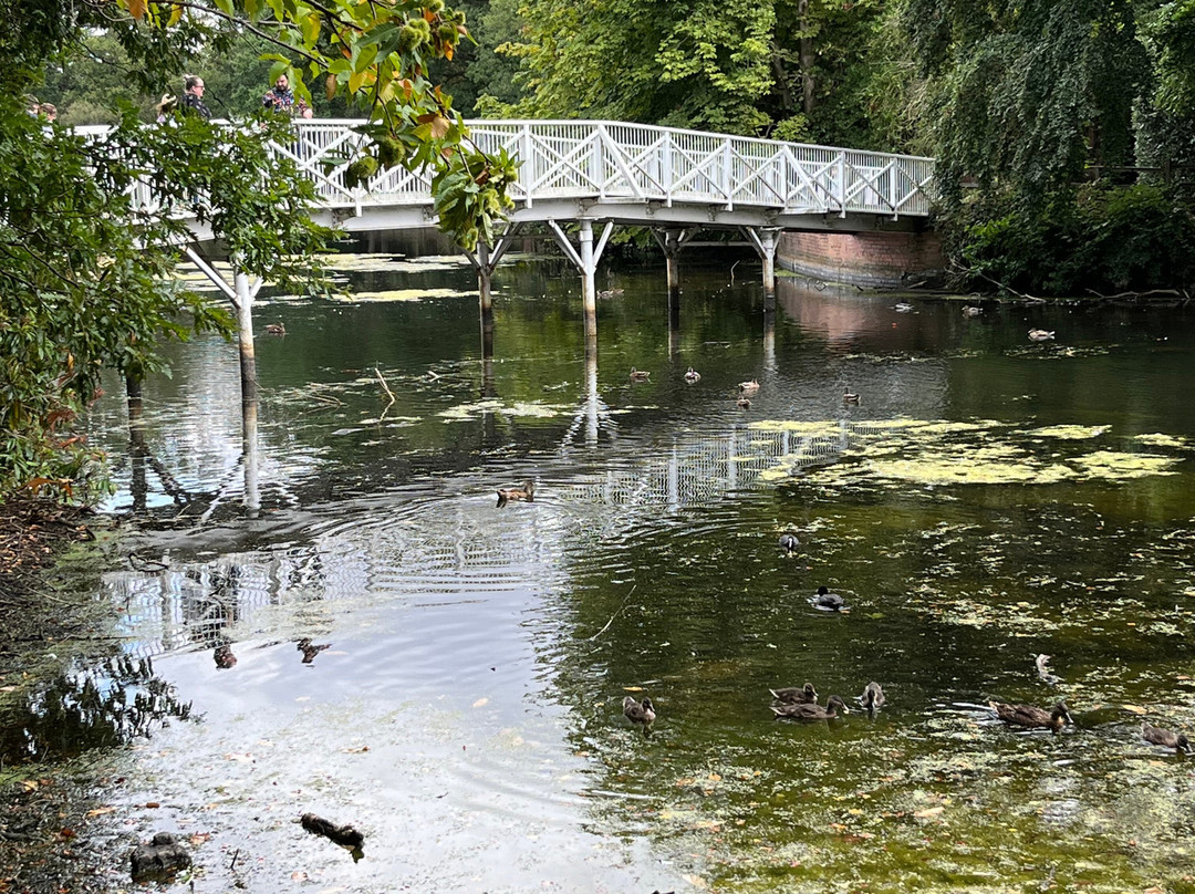 Hartsholme Country Park-林肯必去景点
