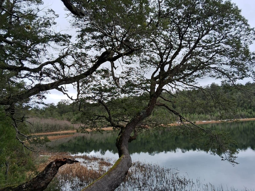 普耶韦温泉康体Spa度假村主图