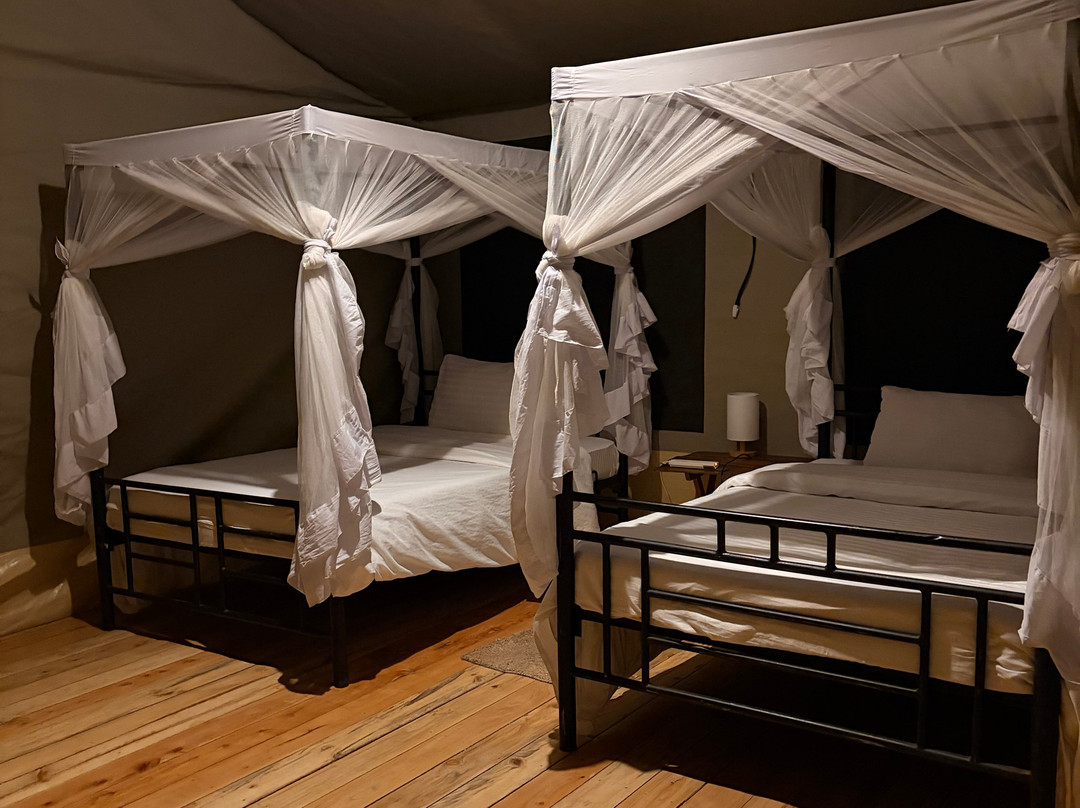 Sero Tented Camp-Seronera必去景点