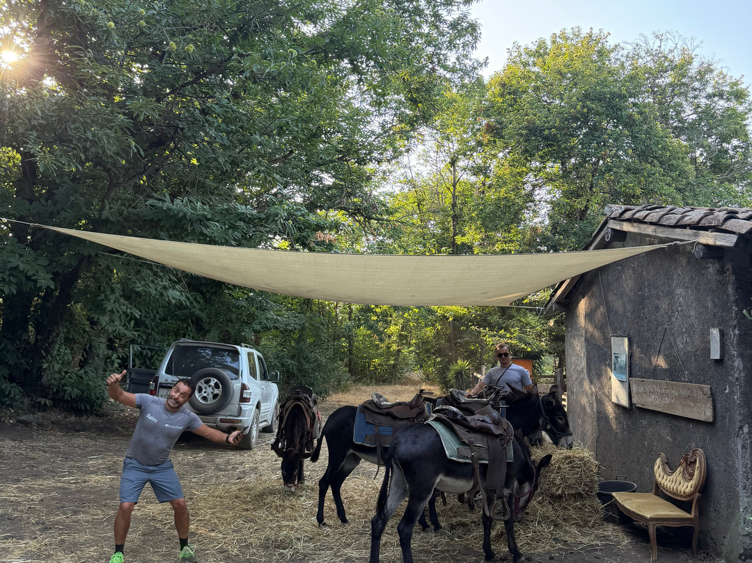 Etna Donkey Trekking-林瓜格洛萨必去景点