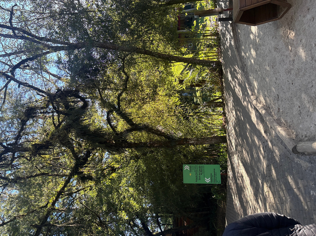 Parque do Caracol-卡内拉必去景点