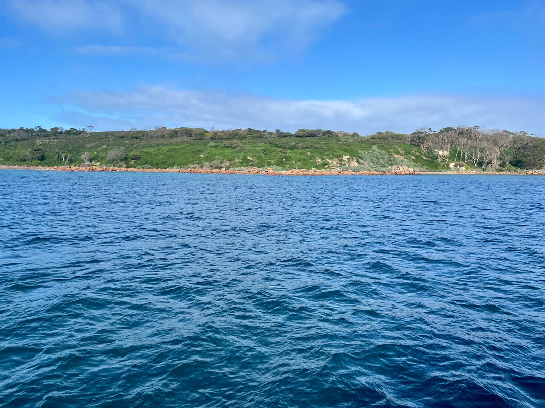 Wildlife Coast Cruises-考斯必去景点