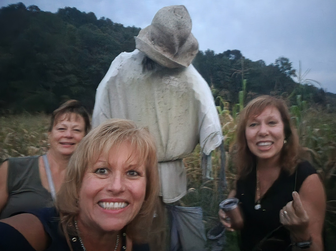 Ellijay Corn Maze