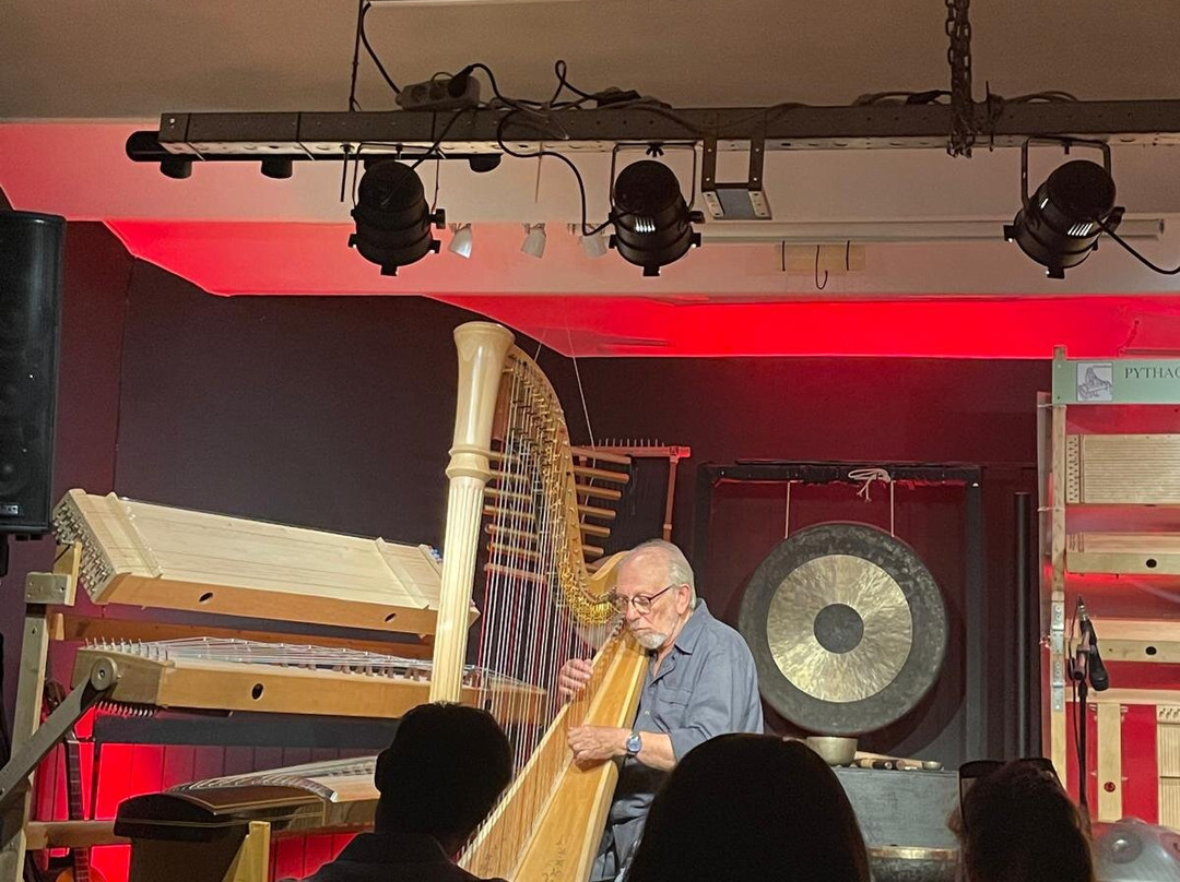 Luc Vanlaere Harpist - Harp Museum-布鲁日必去景点