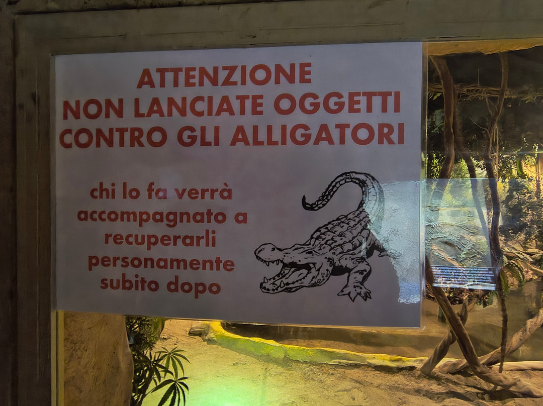Città Della Domenica-佩鲁贾必去景点