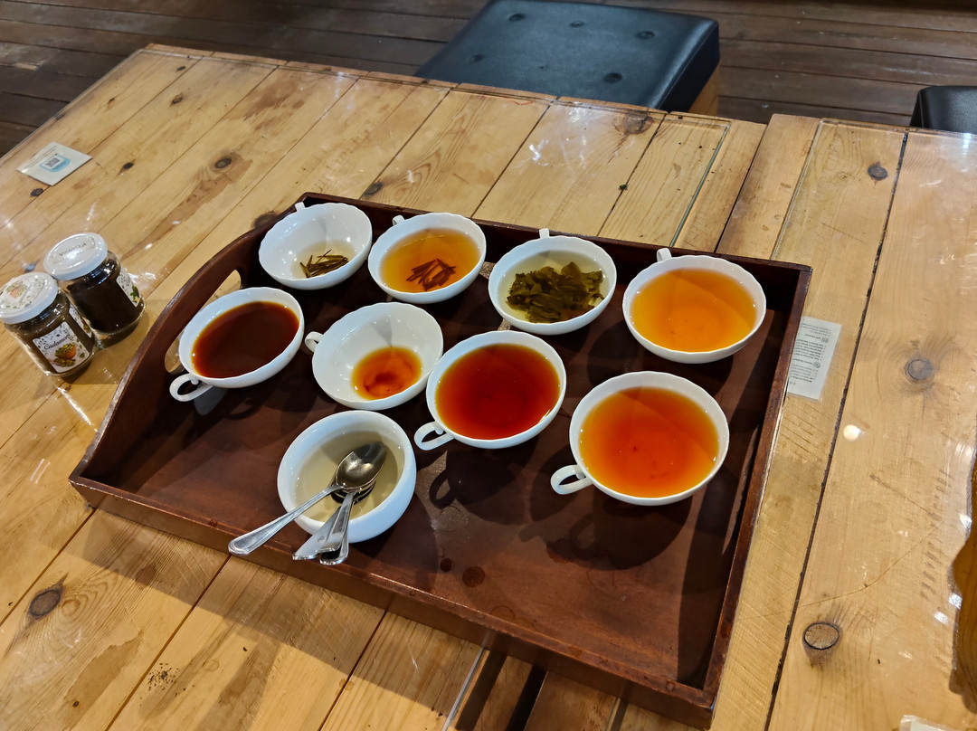Pilimathalawa Tea Factory-Pilimathalawa必去景点