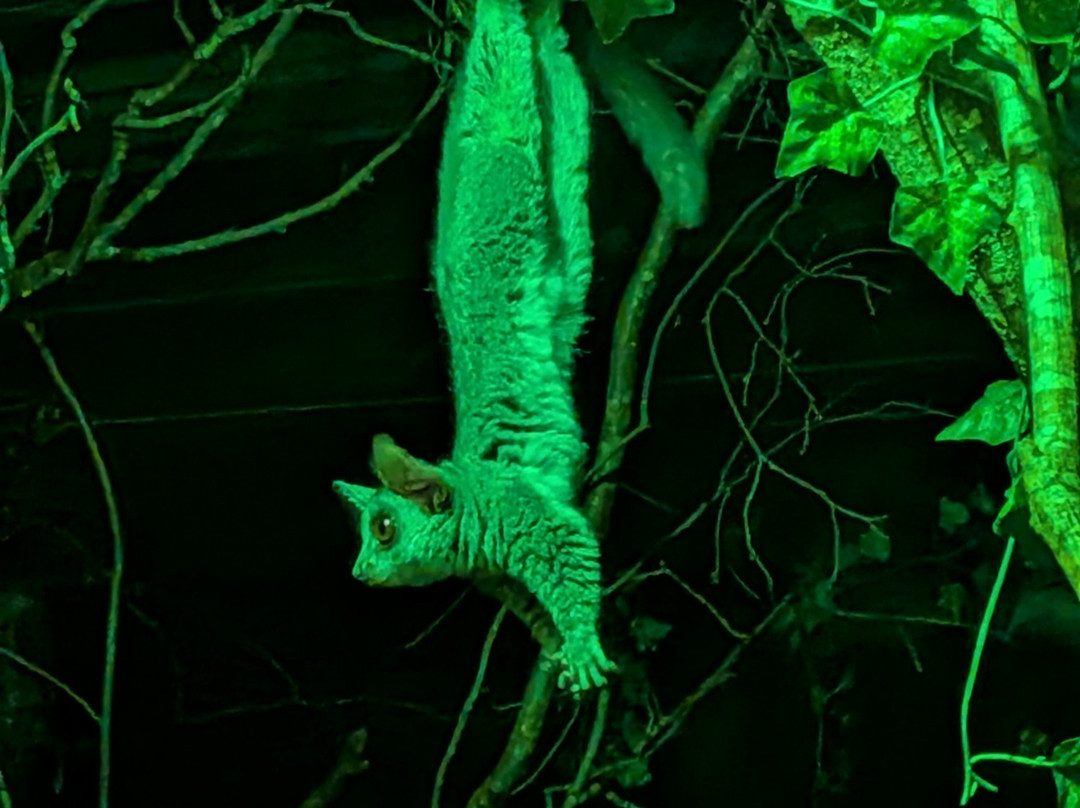 Parc Zoologique Cerza-Hermival-les-Vaux必去景点