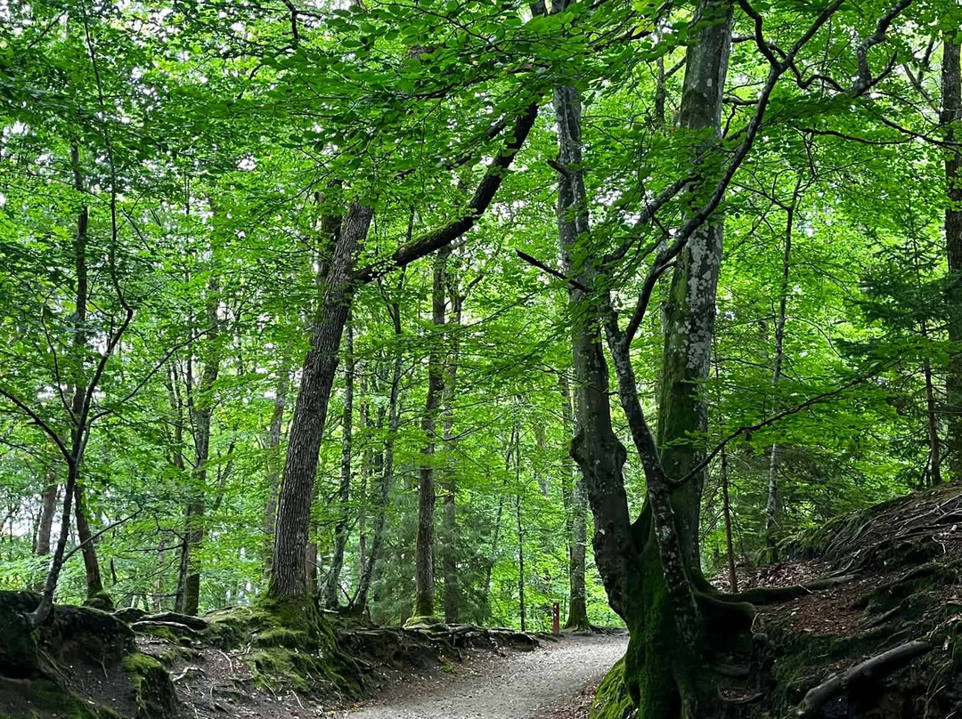 Himmelbjergtaarnet-雷必去景点