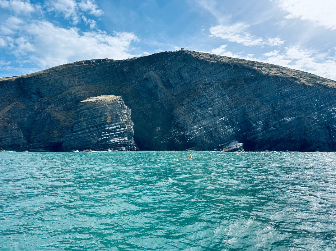 Dolphin Spotting Boat Trips (by New Quay Boat Trips)-纽基必去景点
