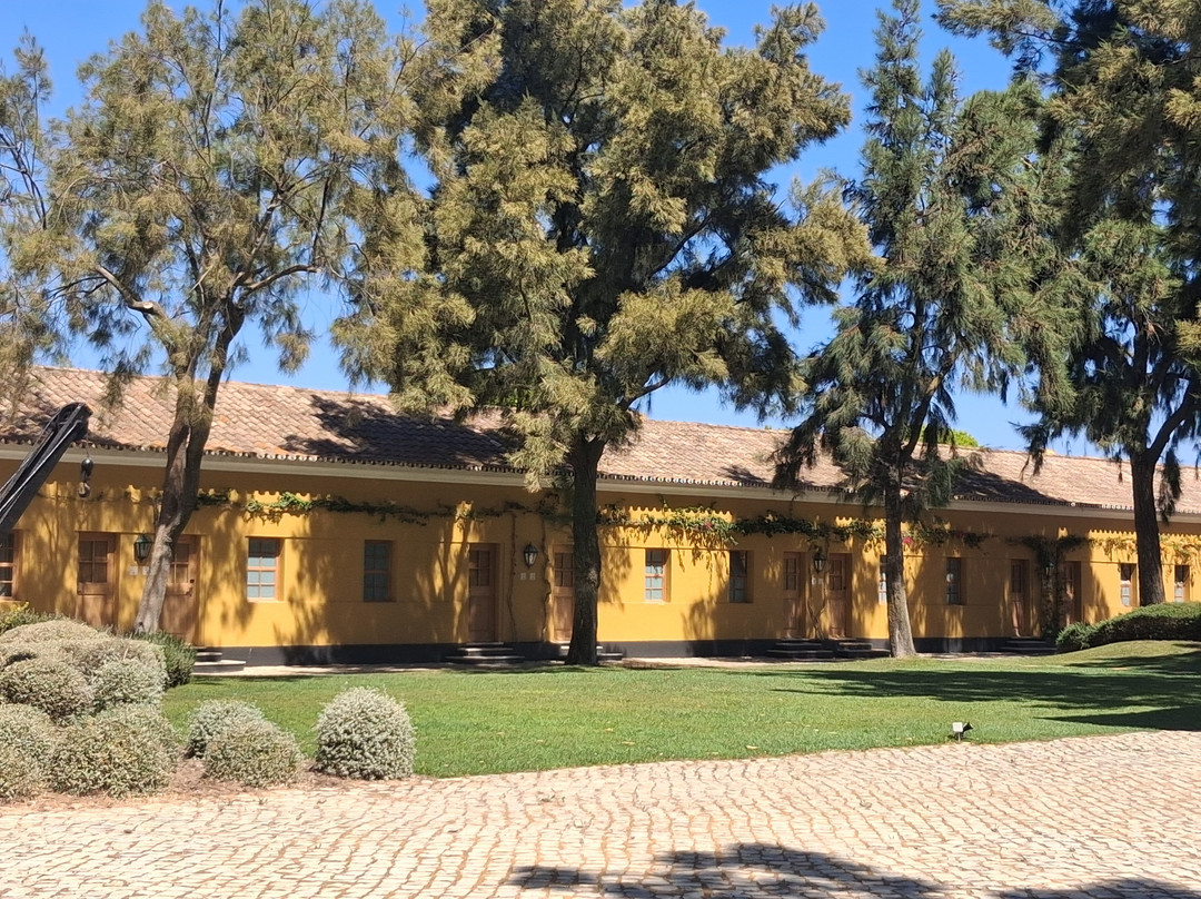 Vila Galé Albacora 生态海滩之旅主图