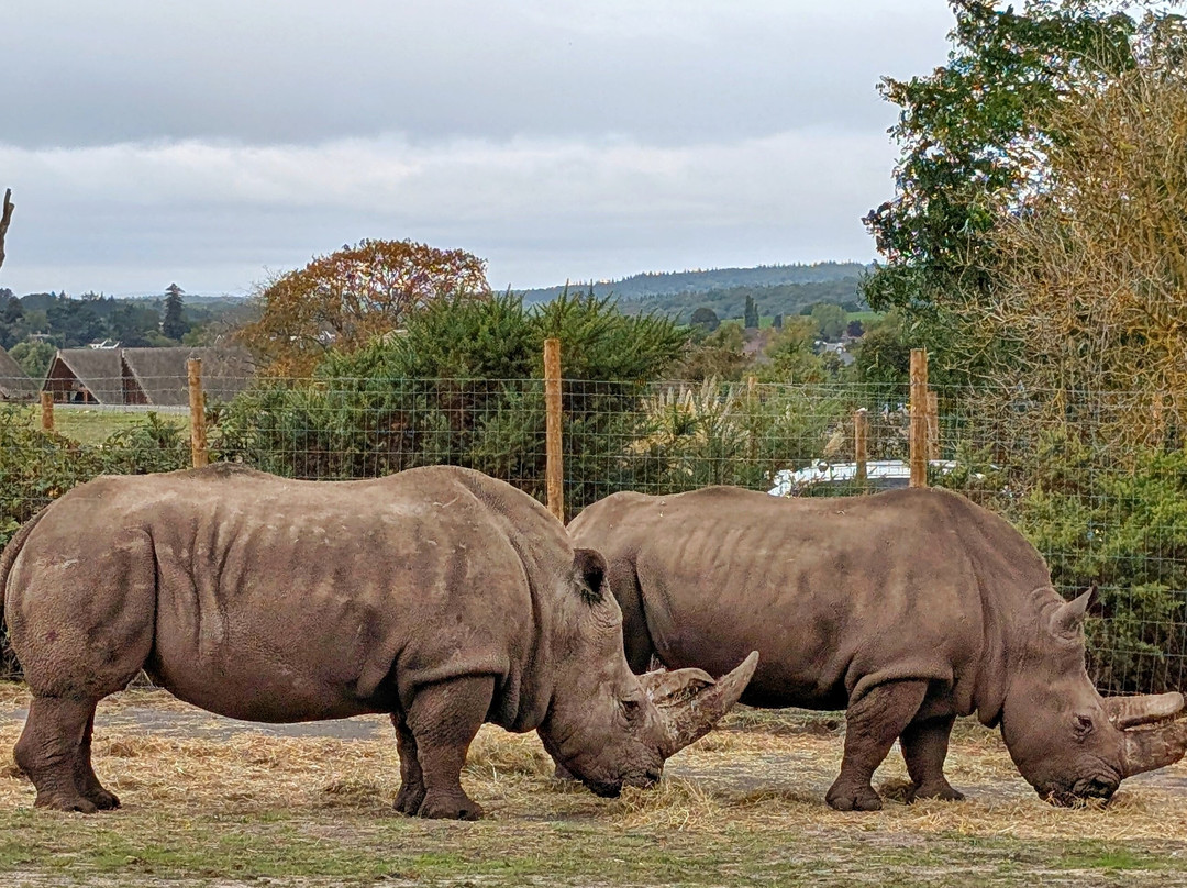 West Midlands Safari Park-Bewdley必去景点